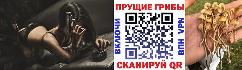 где можно купить наркотик  Усмань  Галлюциногенные грибы MAGIC MUSHROOMS 